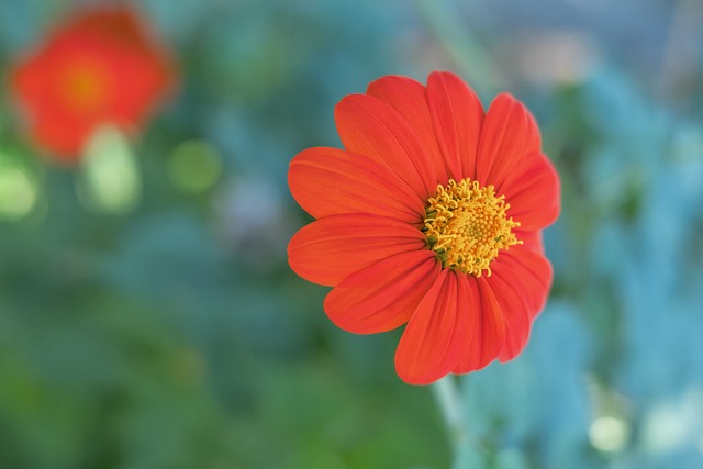 计不仅提升 计不仅提升