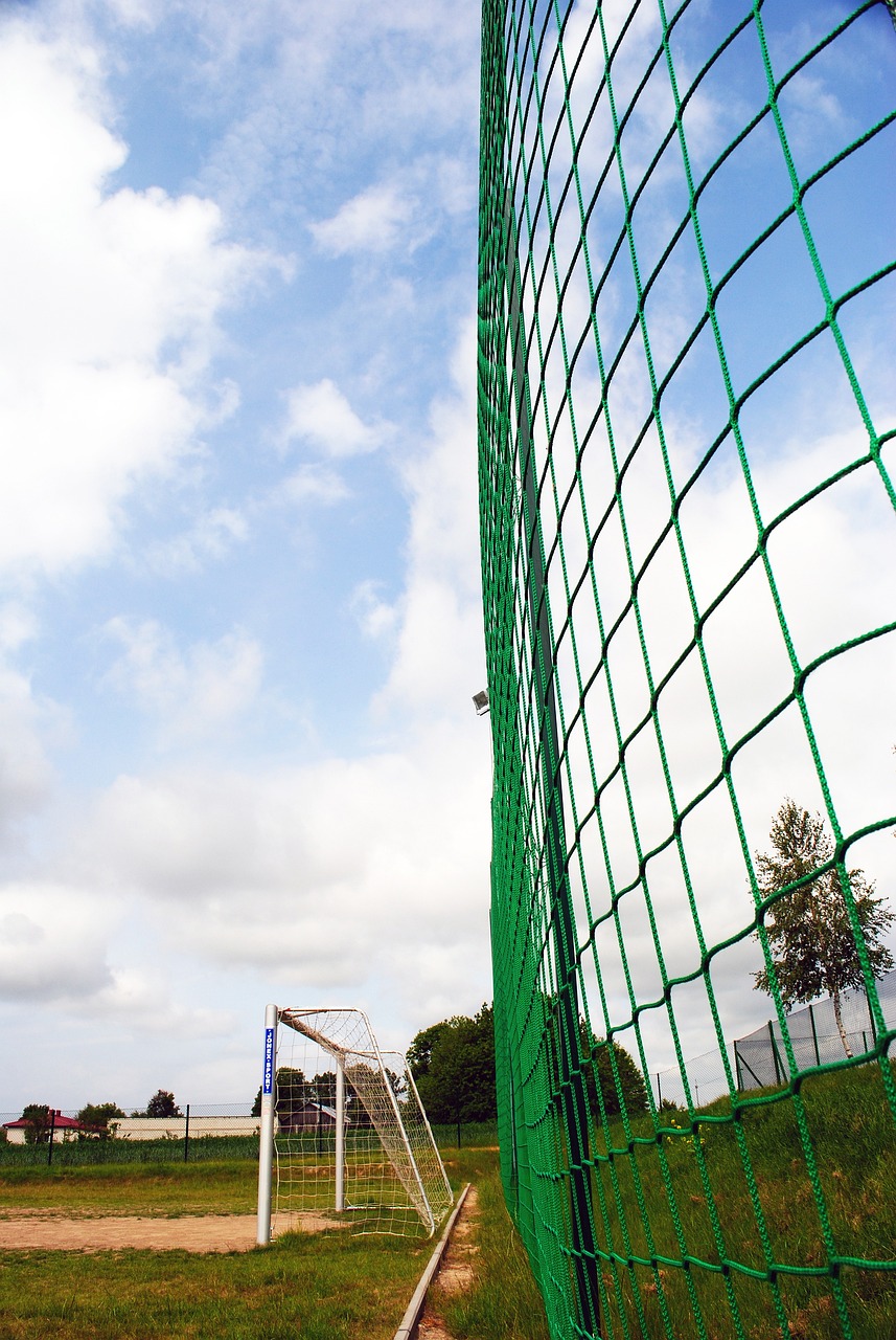 卓越的国际 卓越的国际