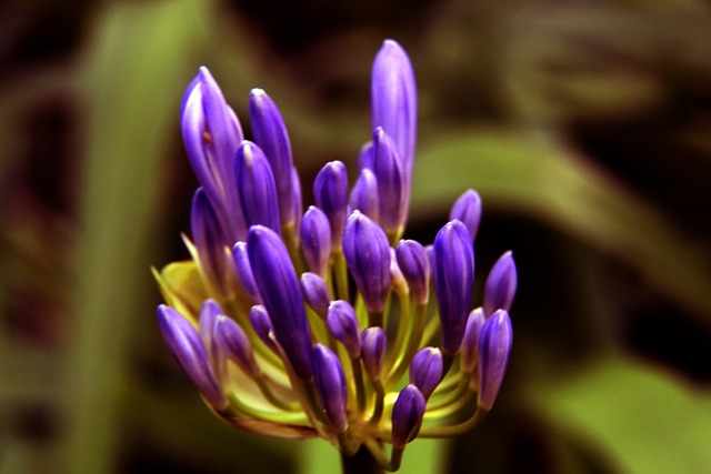 到年轻人的 到年轻人的