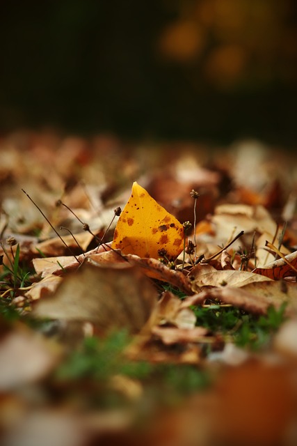 理解与包容 理解与包容