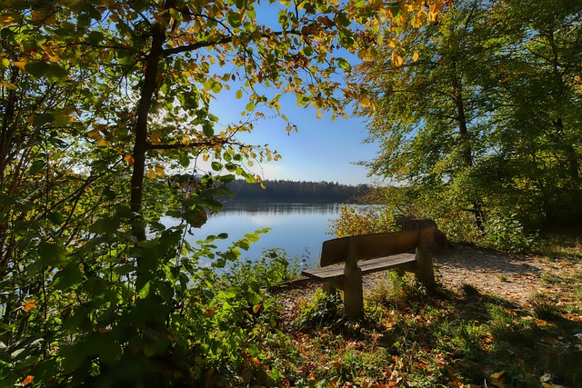 足球的艺术 足球的艺术