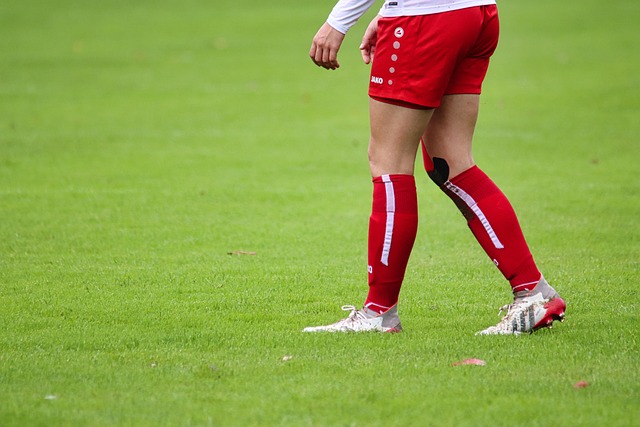 发展的坚实 发展的坚实