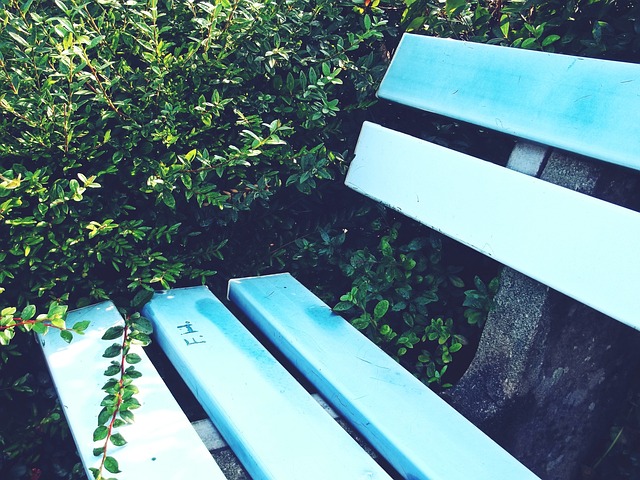 理政成熟阶 理政成熟阶